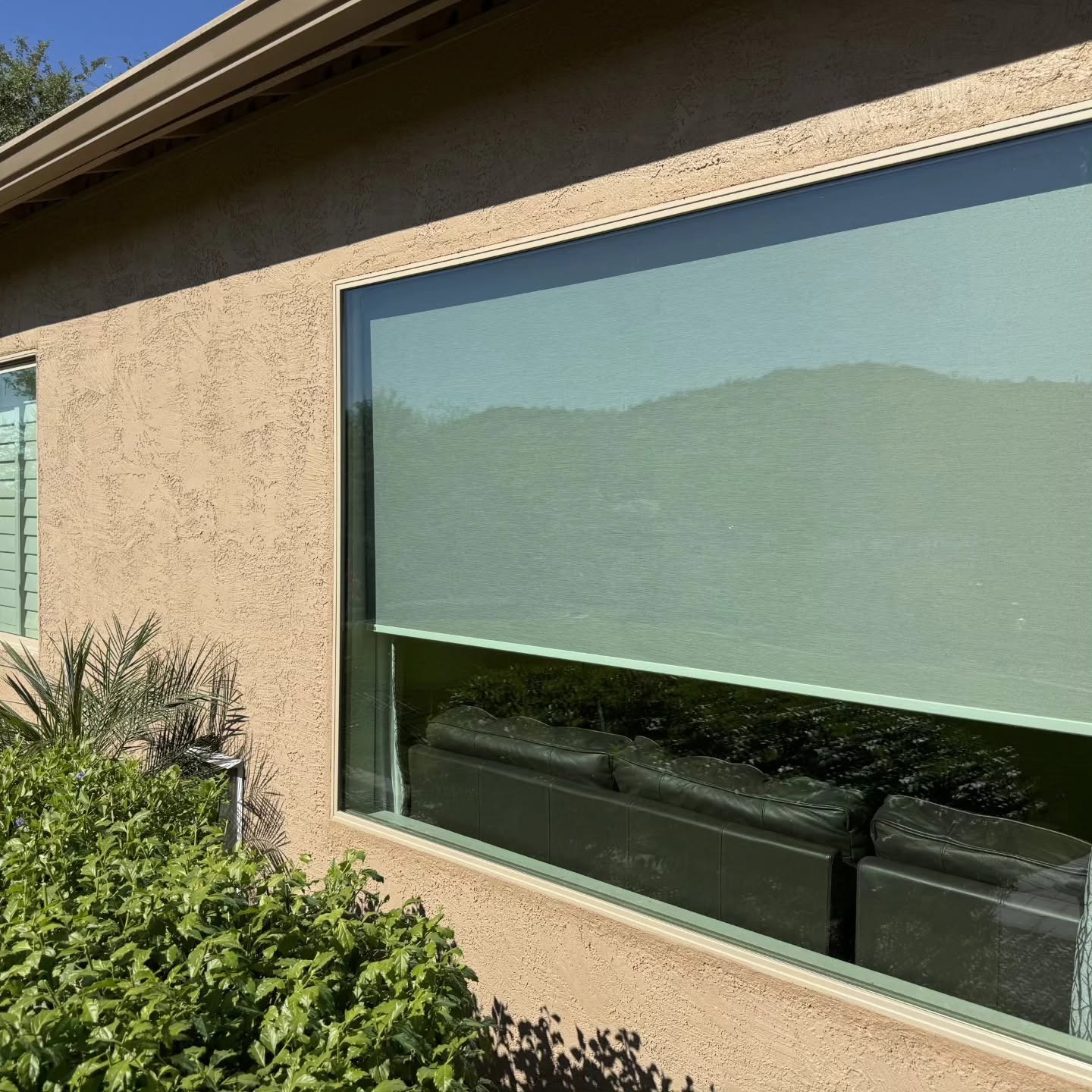 Large clean window with green shade